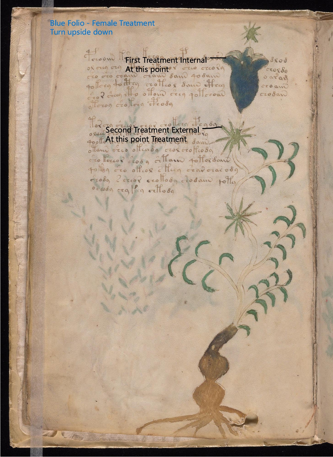 Secondary labelled diagram of Folio 4v